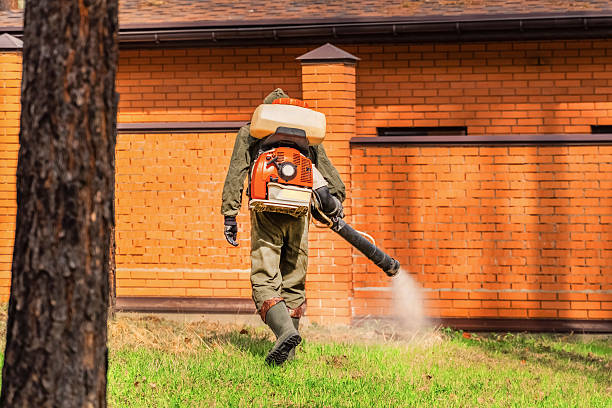 Trusted Bed Bug Control service in Glenolden, PA - Nex Pest Control
